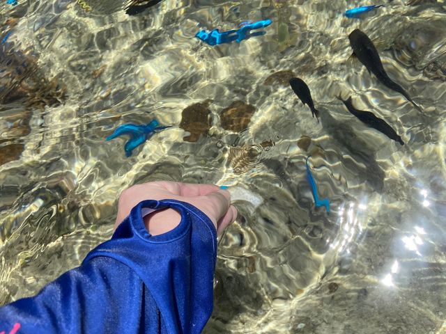 �ŏ��͌x�����Ă���������������Ă��Ă���܂���_feelokinawa