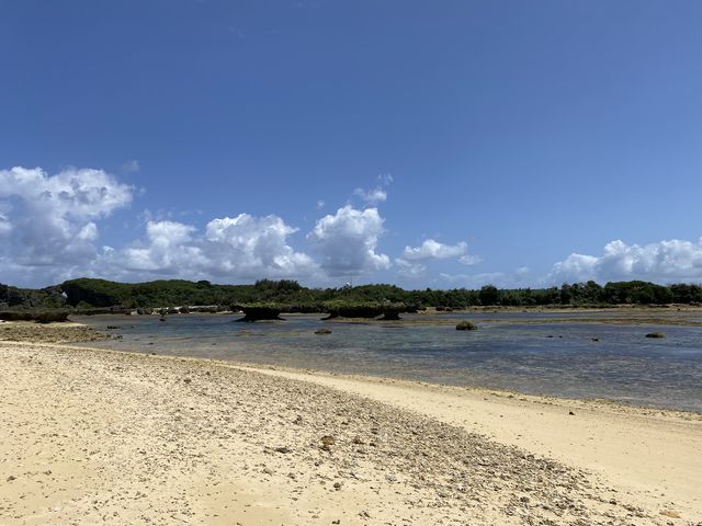�i�F���Ƃ��Ă��Y��ł�_feelokinawa
