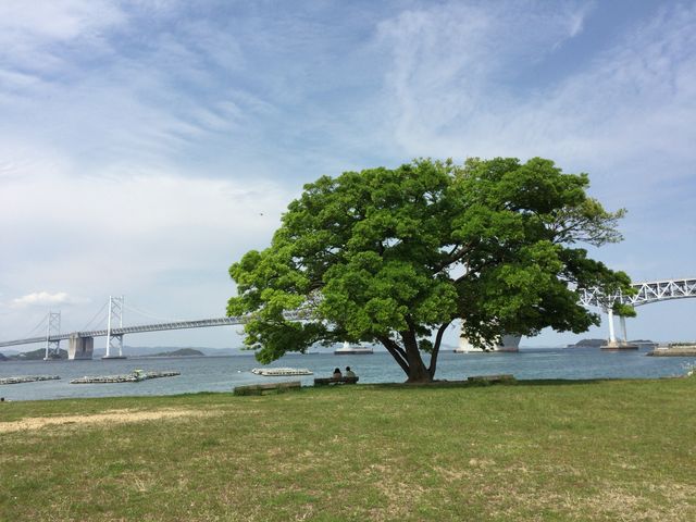 iJ_lBzƂP{̖؂ƂĂǂłB_퓇