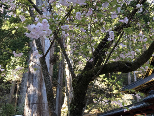 �����@��r�R�_�Ё@�卑�J�^��_������r�R�_��