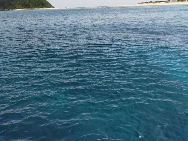 �c�ǊԂł�_�W���C�N���G�C�g���� �e�B�[�_