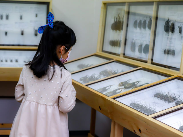 �����W�{_���݂̂�Ȃ̍�����