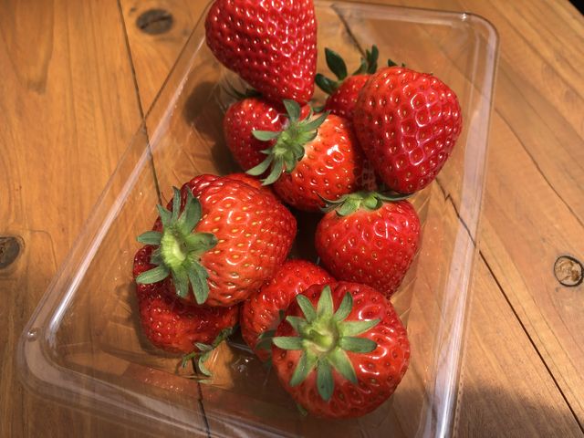 ������_�֍��_��