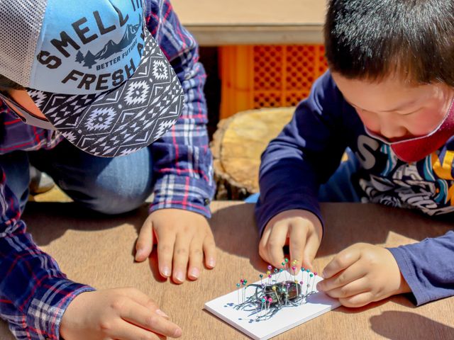 �W�{�������l�C_���݂̂�Ȃ̍�����