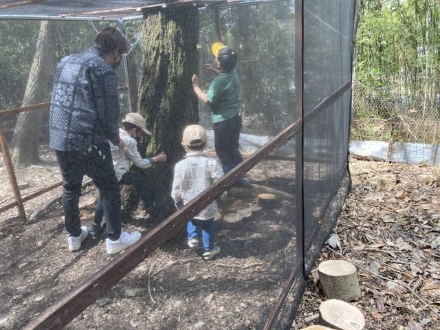 ���ԂƂނ��h�[���ł��ԂƂނ��Ƃӂꂠ�����Ƃ��o����_���݂̂�Ȃ̍�����