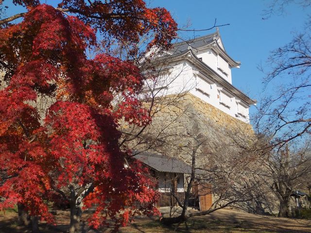 津山城(鶴山公園)｜予約・アクセス・割引クーポン - 【じゃらんnet】