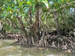 ނ񂳂OHCUSΊ_ւ̓eʐ^1