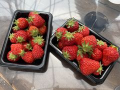 肳joumonfarmi傤ӂ[ށjւ̓eʐ^1