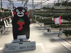 poporon̈hN_ւ̓eʐ^1