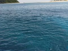 ȂȂ񂳂̃WCNGCg eB[_ւ̓eʐ^1