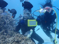 G~̐̓A@Dive@ւ̓eʐ^1