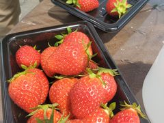 i񂳂joumonfarmi傤ӂ[ށjւ̓eʐ^1