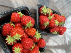 ݂joumonfarmi傤ӂ[ށjւ̓eʐ^1