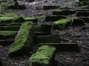 Yanwenli̔pՂ̓eʐ^2