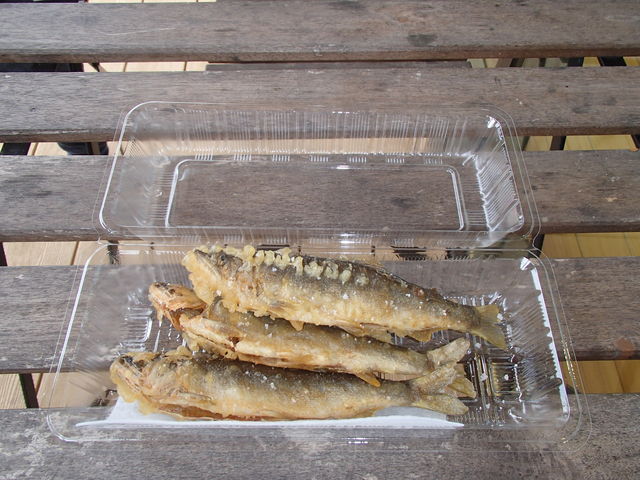 HׂȂሼ̓VՂi1C500~jB܂ŐHׂď_炩g_̉w Đy