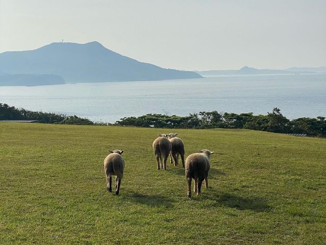 �r�̕��q_��������