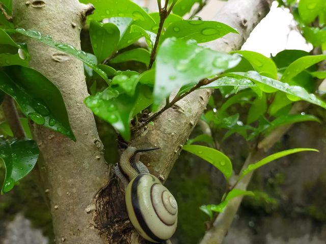 ��̂����ނ�B_�����̌��@����