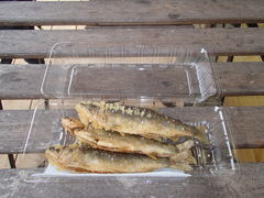 `d̓̉w Đyւ̓eʐ^1