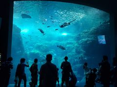 新江ノ島水族館の口コミ一覧 じゃらんnet