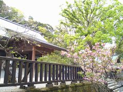 ������������̈��[�_�Ђ̍��ւ̓��e�ʐ^1