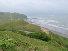 yosshy̍zΓW]ւ̓eʐ^1