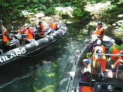 [C`̃BgJ̓]ւ̓eʐ^1