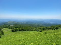 �Ƃ�����̓����s���~�����L�X�Q�����n�@���~�������X�g�n�E�X�ւ̓��e�ʐ^1