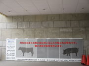 ̂䂫̋{茧_ƉȊwsiXp[N̓eʐ^2