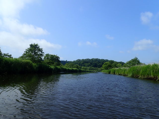 �ʊ��Ӌ�����