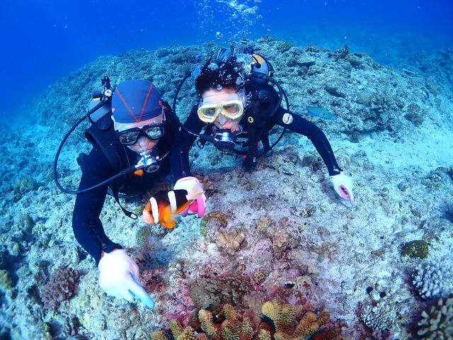 ���̃J���t���ȔM�ы����Ă�������_Sea Monk