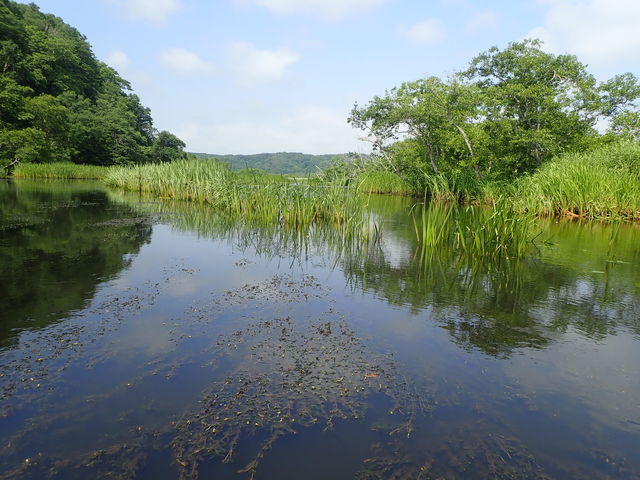 �ʊ��Ӌ�����