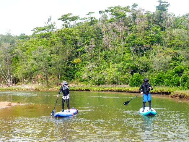 SUPです静かにマングローブ林を堪能_貸切アウトドアツアーショップ FRiP