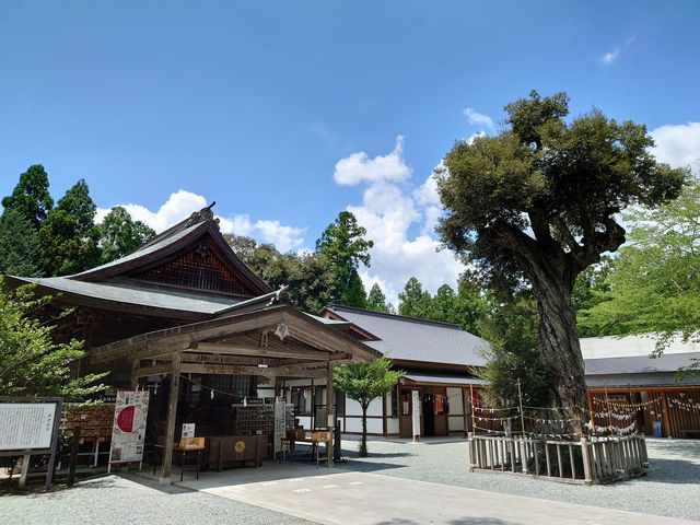 �i��������������..._��ɒJ�{