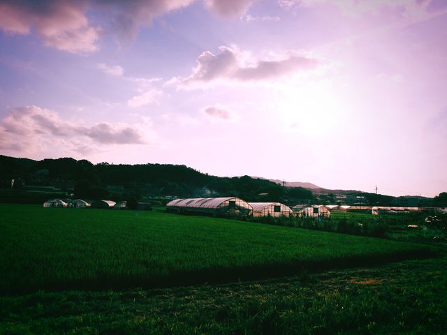 �{�݂̎���̕��i_��a�̗� BBQ