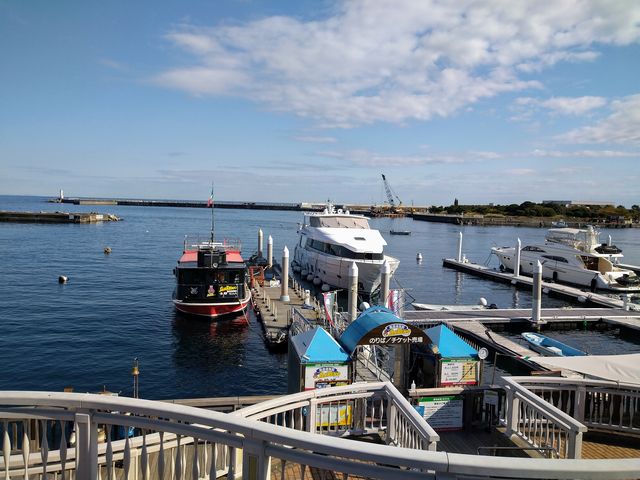 �V���D�T������_�M�C�V���D�T������