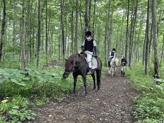 䂫̓oʃz[Xp[NVxւ̓eʐ^1