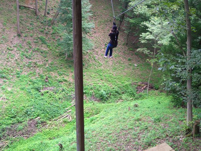 �W�b�v�X���C�h�����������C���������ł��I_�t�H���X�g�A�h�x���`���[�E����