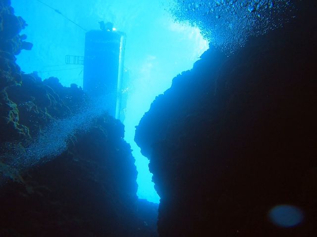 A猩{[g_CgΊ__CrOVbv