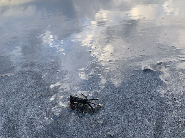 �J�j_�G�R�T�[�t�@�[