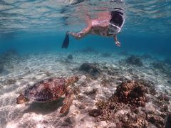 ₳̈ɗǕ}KCh}nւ̓eʐ^1