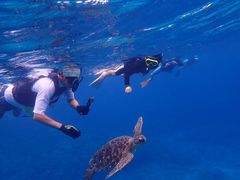 pp̃JCU[}Nuւ̓eʐ^1