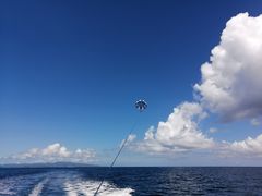 ryokei̐Ί_u[V[T[ւ̓eʐ^1