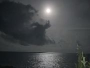 Ƃ񂳂̓yK͌inj̓eʐ^1