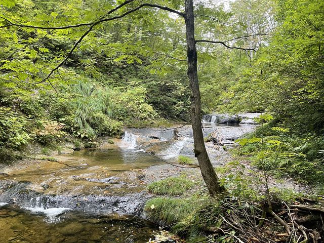 ���₩�ȗ���̑�̒�������܂�_�X�т̕��Z�ӂ���