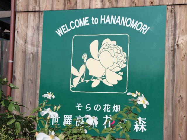 Ŕ_̉Ԕ@Ԃ̐XiAӏ܁j