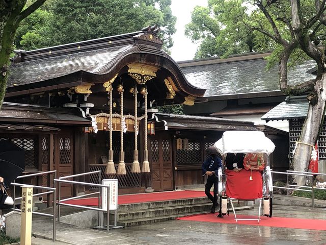 ���I����ɐl�͎Ԃɏ��V�Y�V�w
���̓��͏��J���~��o���܂����������t�ň��S�ł�_�쉤�_��