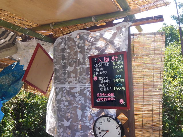 ���Ԗ������ł��B_�L�Δ_��