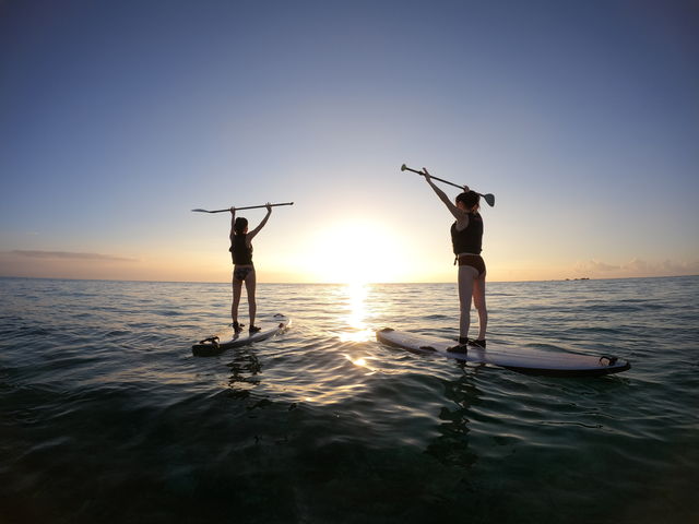 ���Ă����[�I�I�I_����S���_�C�u