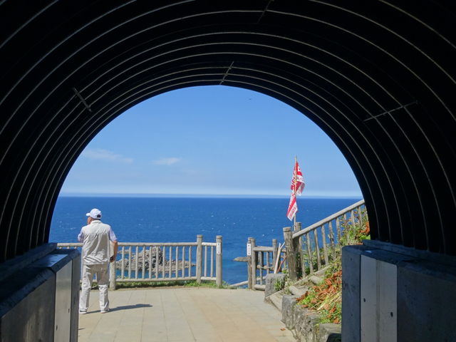 �Â���𔲂���Ɓ@�ϒO�u���[_�����ӊC��