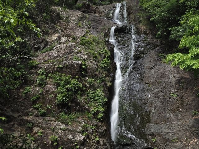 ck̍ŏ㕔ɂ闳̑łB_ck